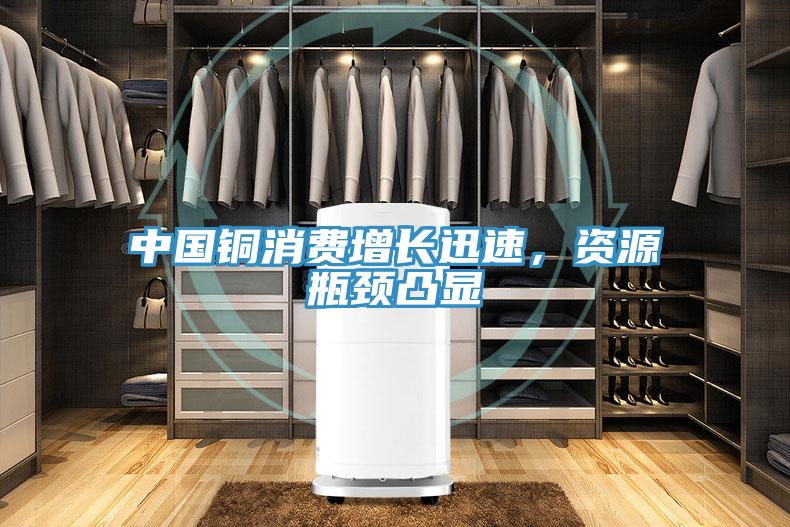 中國銅消費增長迅速，資源瓶頸凸顯