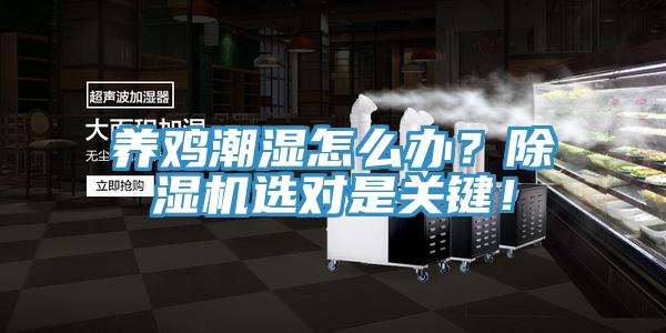 養雞潮濕怎么辦？除濕機選對是關鍵！