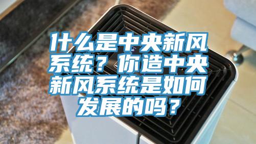 什么是中央新風系統？你造中央新風系統是如何發展的嗎？