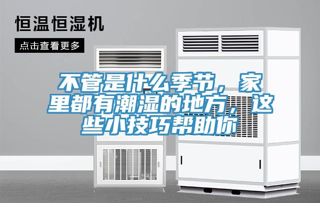 不管是什么季節，家里都有潮濕的地方，這些小技巧幫助你