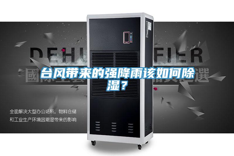 臺風帶來的強降雨該如何除濕？