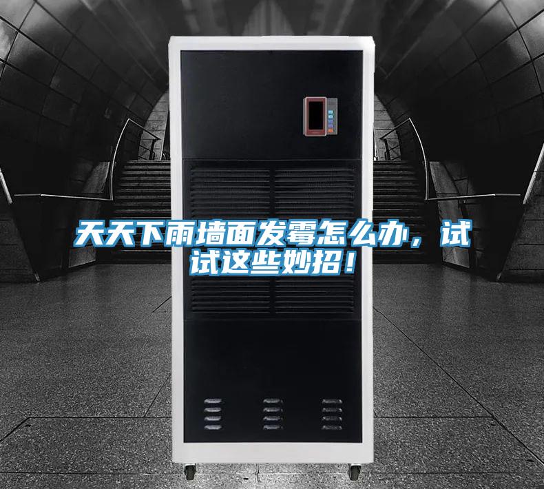 天天下雨墻面發霉怎么辦，試試這些妙招！