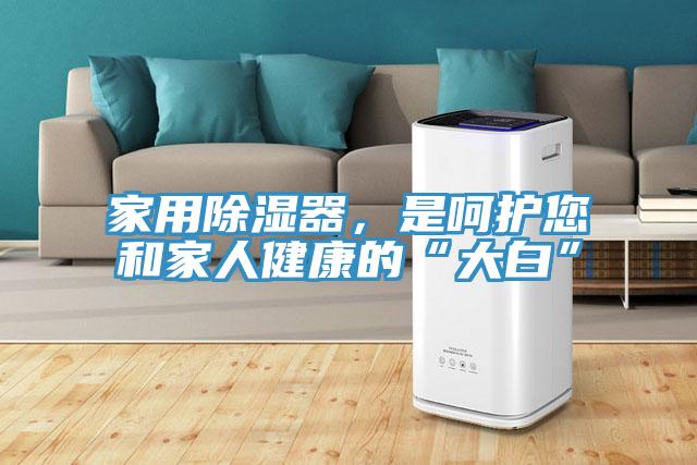 家用除濕器，是呵護(hù)您和家人健康的“大白”