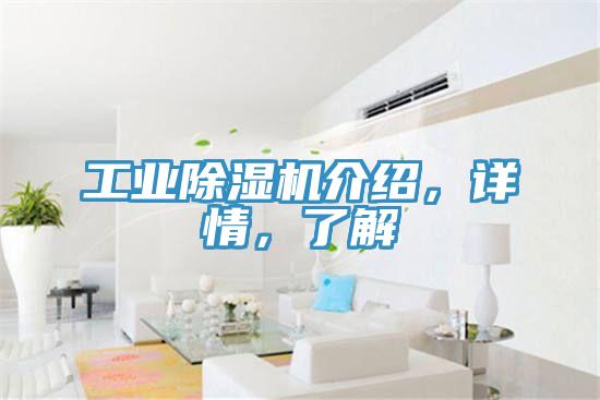 工業(yè)除濕機介紹，詳情，了解