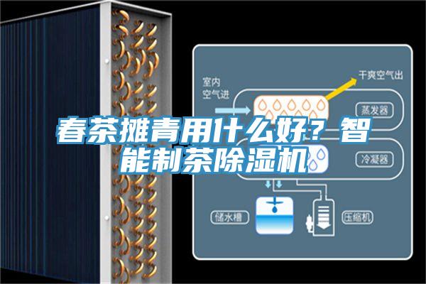 春茶攤青用什么好？智能制茶除濕機(jī)