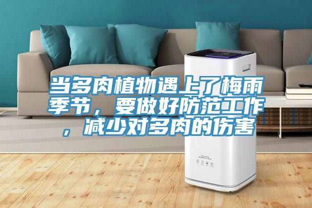 當多肉植物遇上了梅雨季節，要做好防范工作，減少對多肉的傷害