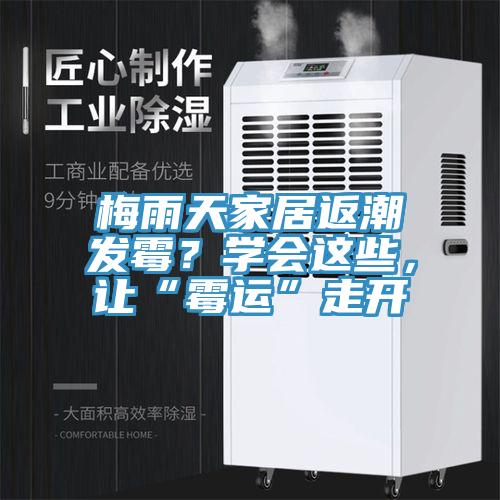 梅雨天家居返潮發(fā)霉？學會這些，讓“霉運”走開