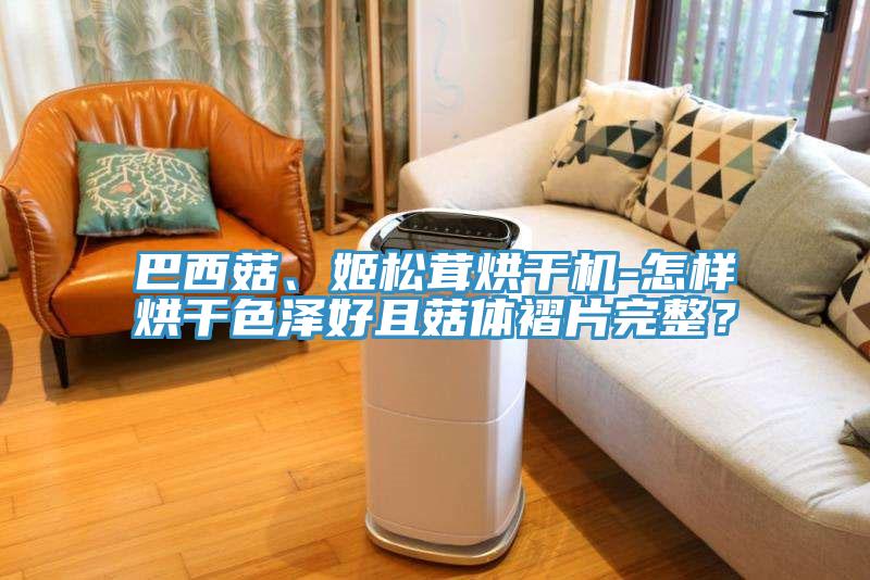 巴西菇、姬松茸烘干機-怎樣烘干色澤好且菇體褶片完整？