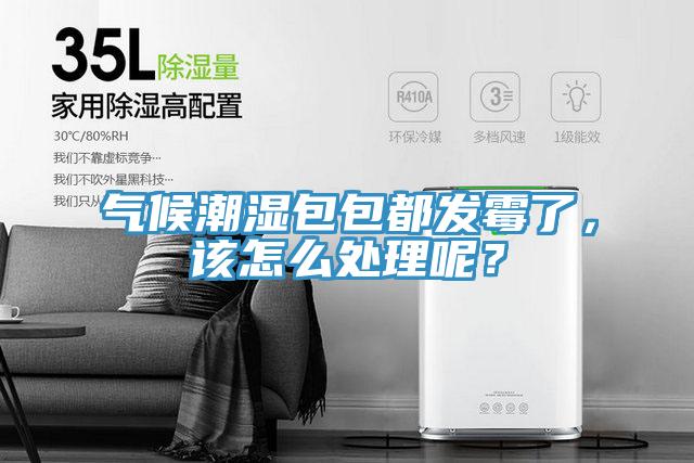 氣候潮濕包包都發(fā)霉了，該怎么處理呢？