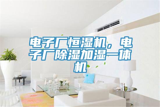電子廠恒濕機，電子廠除濕加濕一體機