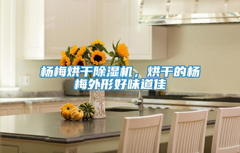 楊梅烘干除濕機，烘干的楊梅外形好味道佳