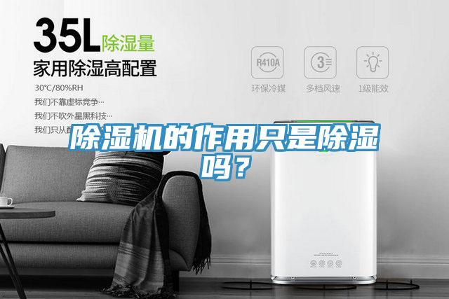 除濕機的作用只是除濕嗎？