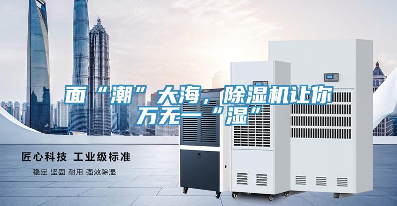 面“潮”大海,除濕機(jī)讓你萬無一“濕”