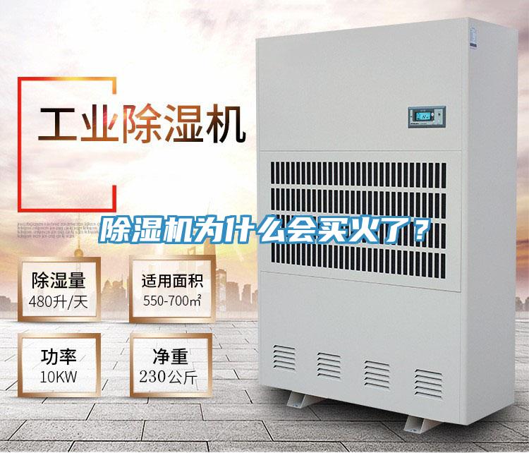 除濕機(jī)為什么會(huì)買(mǎi)火了？