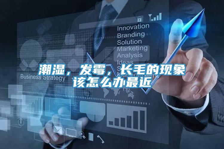 潮濕，發(fā)霉，長毛的現(xiàn)象該怎么辦最近