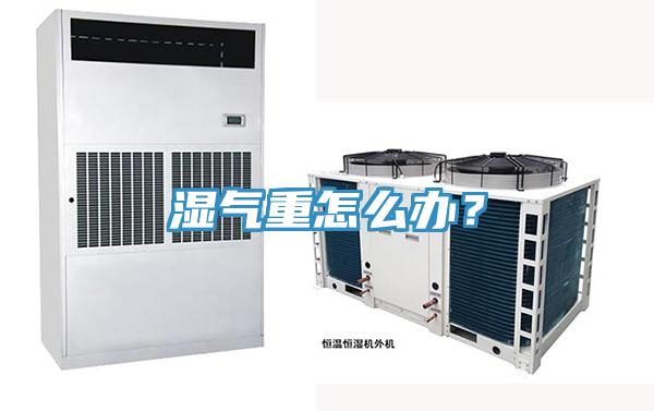 濕氣重怎么辦？