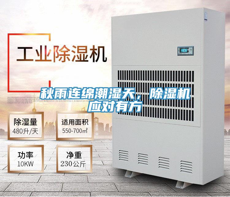 秋雨連綿潮濕天,除濕機應對有方