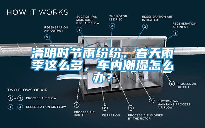 清明時節(jié)雨紛紛，春天雨季這么多，車內(nèi)潮濕怎么辦？