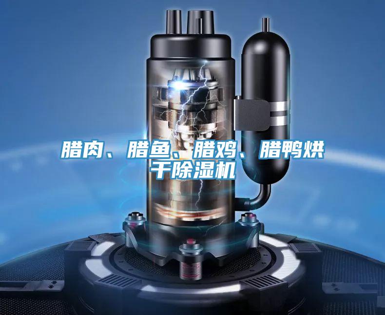 臘肉、臘魚、臘雞、臘鴨烘干除濕機