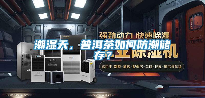 潮濕天，普洱茶如何防潮儲(chǔ)存？