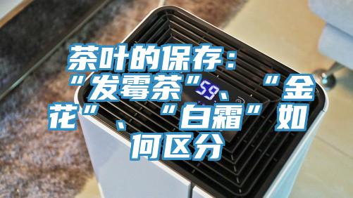茶葉的保存：“發霉茶”、“金花”、“白霜”如何區分