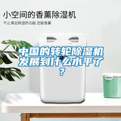 中國的轉輪除濕機發(fā)展到什么水平了?