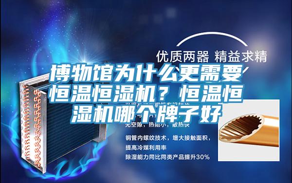 博物館為什么更需要恒溫恒濕機(jī)？恒溫恒濕機(jī)哪個牌子好