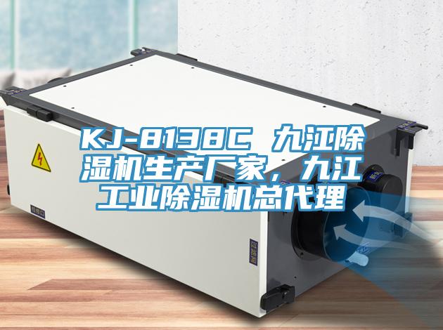 KJ-8138C 九江除濕機生產(chǎn)廠家,九江工業(yè)除濕機總代理
