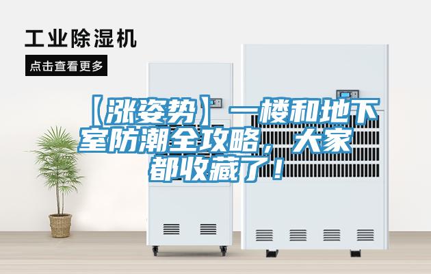 【漲姿勢】一樓和地下室防潮全攻略，大家都收藏了！