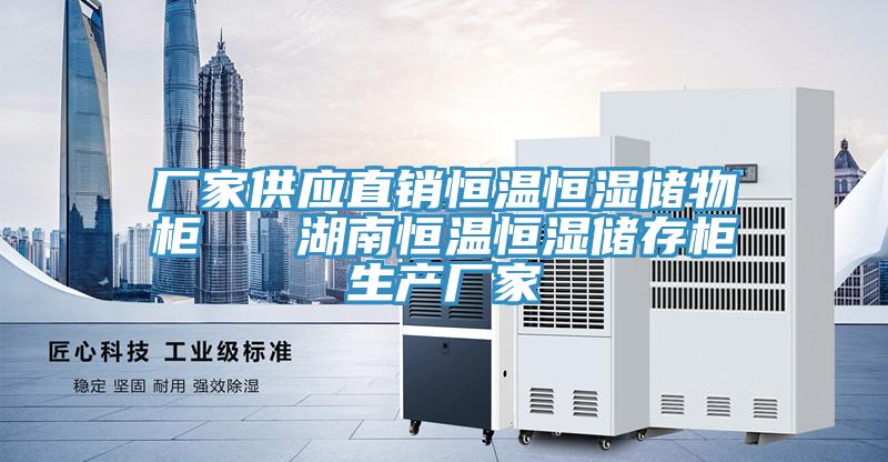 廠家供應直銷恒溫恒濕儲物柜 湖南恒溫恒濕儲存柜生產廠家