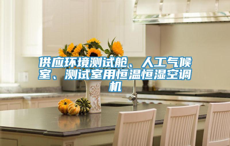 供應(yīng)環(huán)境測試艙、人工氣候室、測試室用恒溫恒濕空調(diào)機(jī)