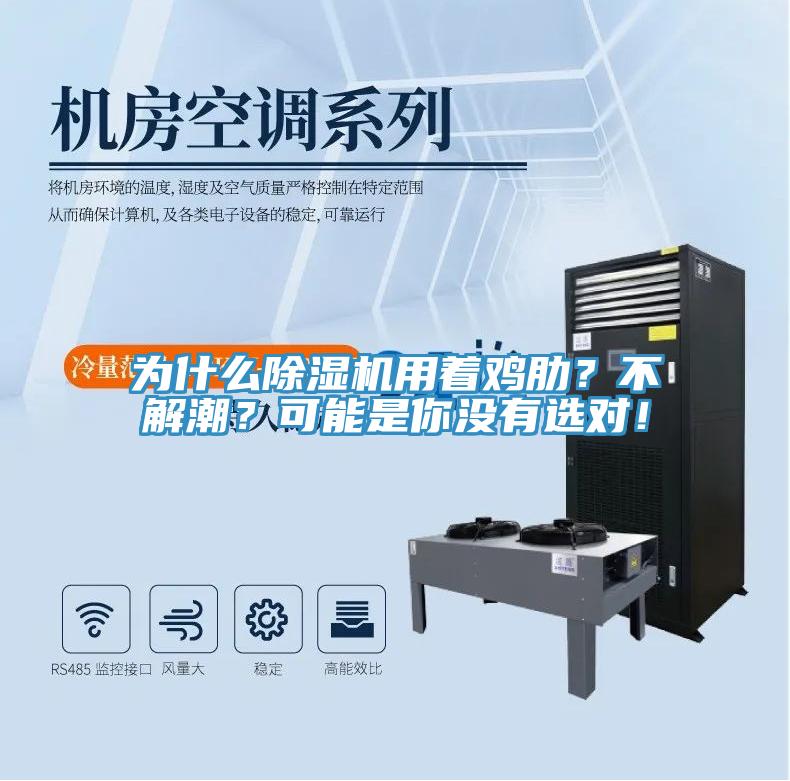 為什么除濕機(jī)用著雞肋？不解潮？可能是你沒有選對！