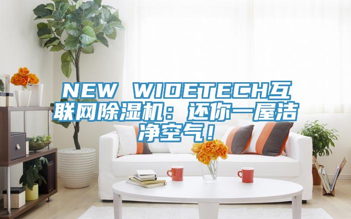NEW WIDETECH互聯網除濕機:還你一屋潔凈空氣!