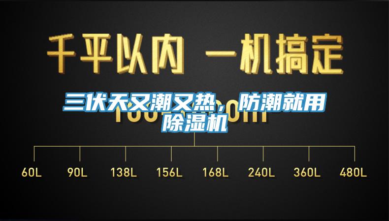三伏天又潮又熱,防潮就用除濕機