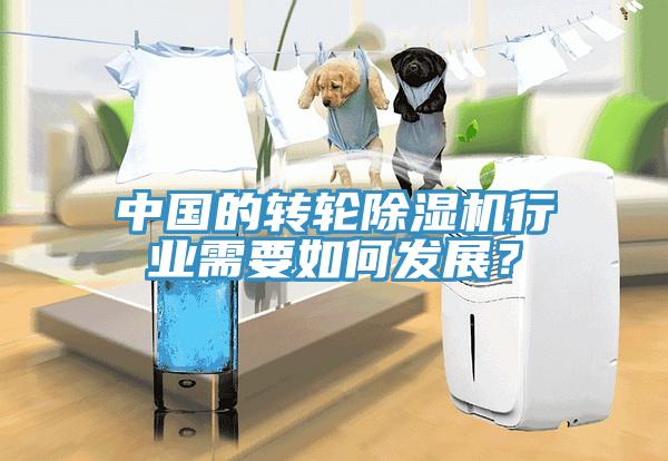 中國的轉輪除濕機行業(yè)需要如何發(fā)展?