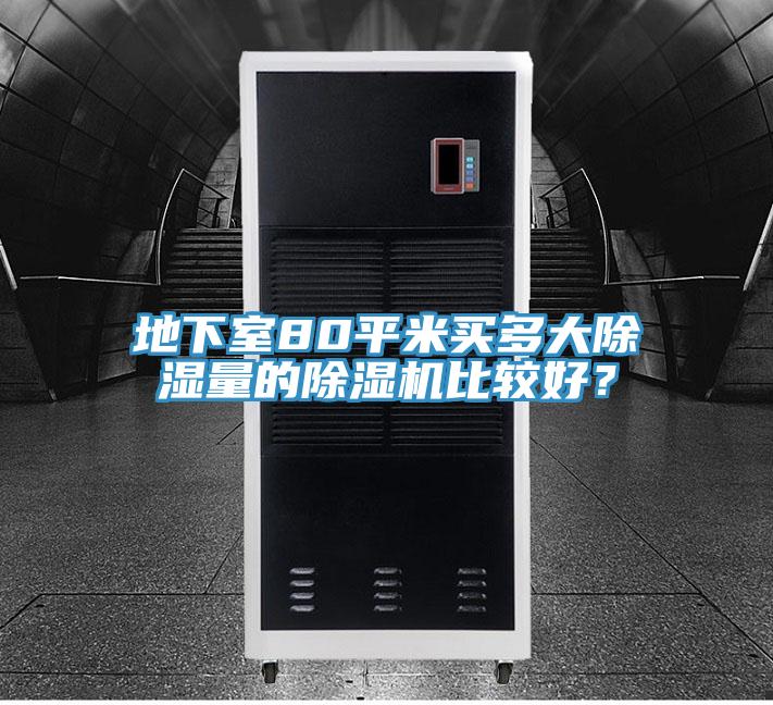 地下室80平米買多大除濕量的除濕機比較好?