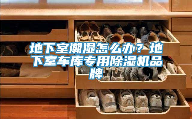 地下室潮濕怎么辦?地下室車庫專用除濕機品牌