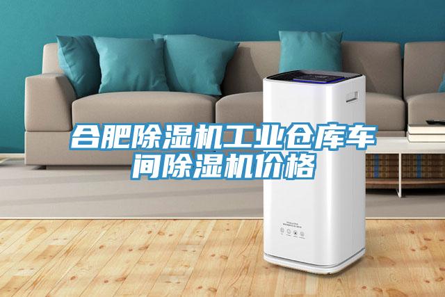 合肥除濕機(jī)工業(yè)倉庫車間除濕機(jī)價(jià)格