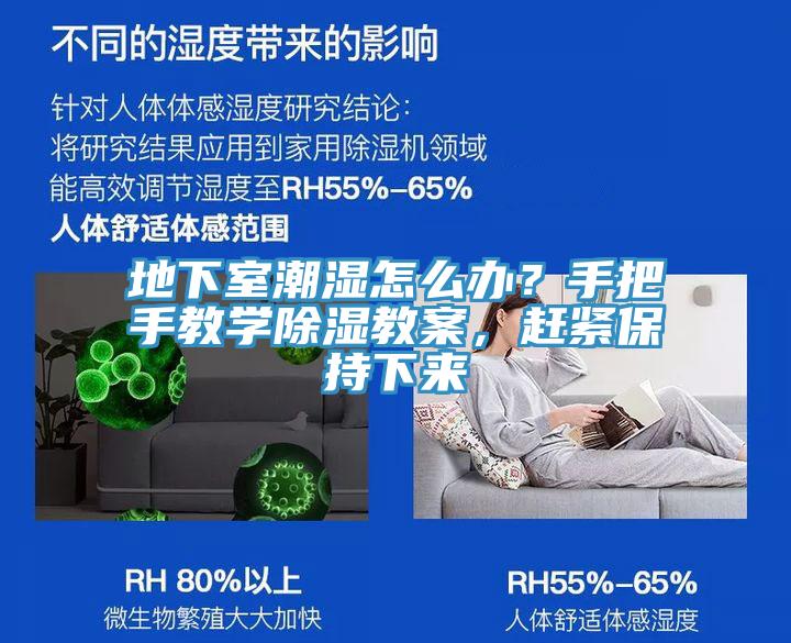 地下室潮濕怎么辦?手把手教學除濕教案,趕緊保持下來