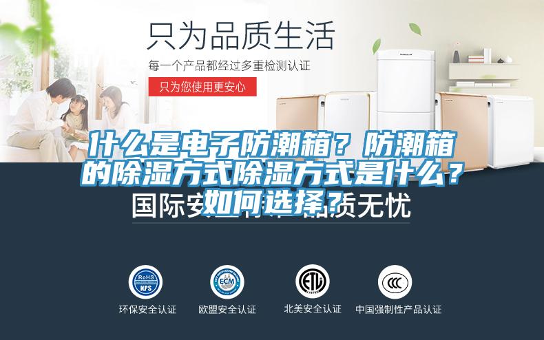 什么是電子防潮箱？防潮箱的除濕方式除濕方式是什么？如何選擇？