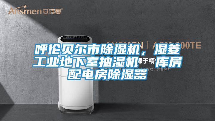 呼倫貝爾市除濕機，濕菱工業(yè)地下室抽濕機  庫房配電房除濕器