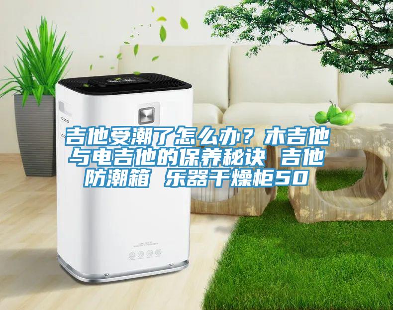 吉他受潮了怎么辦?木吉他與電吉他的保養(yǎng)秘訣 吉他防潮箱 樂器干燥柜50