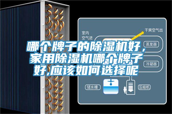 哪個牌子的除濕機好,家用除濕機哪個牌子好,應該如何選擇呢