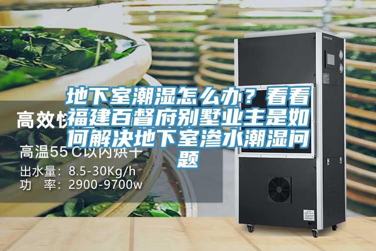 地下室潮濕怎么辦?看看福建百督府別墅業主是如何解決地下室滲水潮濕問題