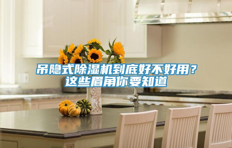 吊隱式除濕機到底好不好用？這些眉角你要知道