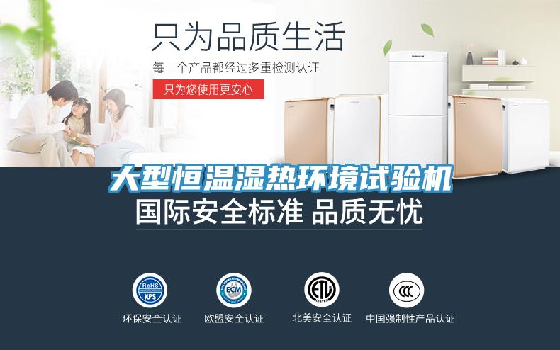 大型恒溫濕熱環境試驗機