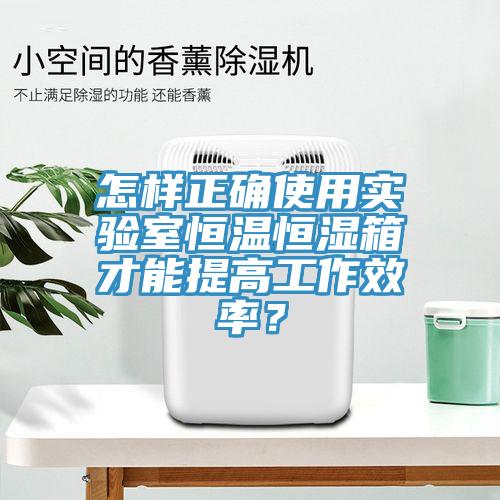 怎樣正確使用實驗室恒溫恒濕箱才能提高工作效率?