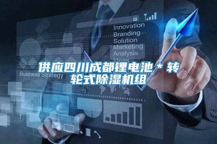供應(yīng)四川成都鋰電池*轉(zhuǎn)輪式除濕機(jī)組