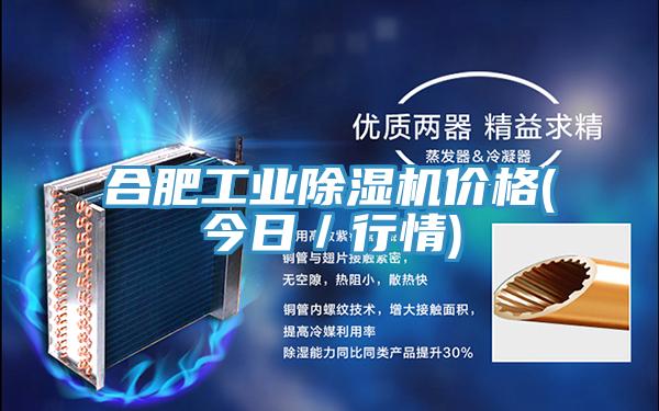 合肥工業(yè)除濕機(jī)價(jià)格(今日/行情)