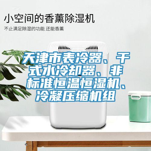 天津市表冷器、干式水冷卻器、非標(biāo)準(zhǔn)恒溫恒濕機(jī)、冷凝壓縮機(jī)組